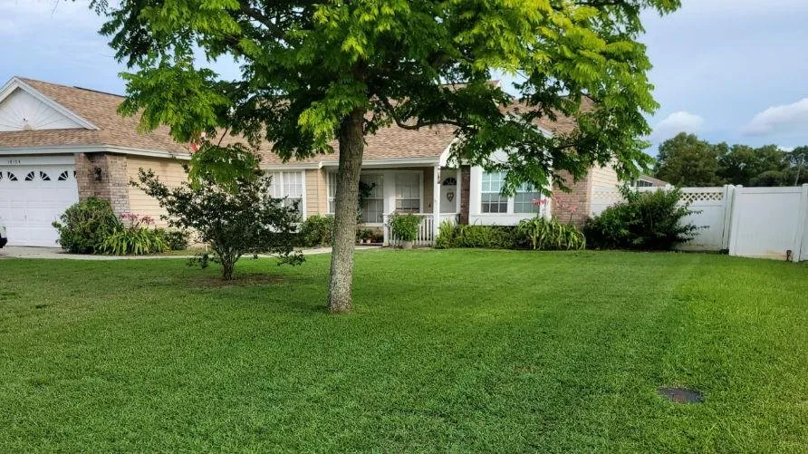 Affordable landscape installation for year-round maintenance in Spring Hill, FL by Steve And Steven's Lawn Care Service