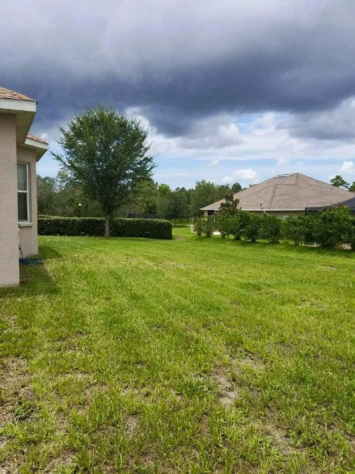 Affordable landscape design in Spring Hill, FL - Steve And Steven's Lawn Care Service