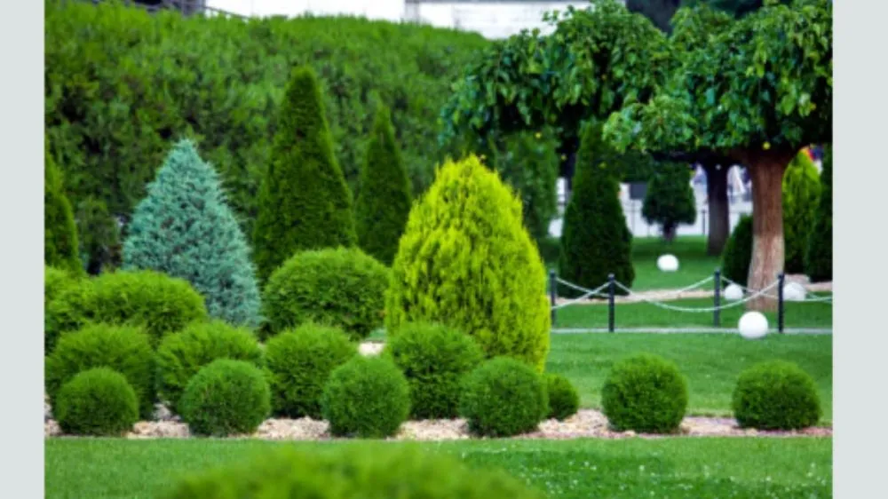 Top-rated lawn care service for homes in Broadalbin, NY by Steve Austin-subcontracting and mowing