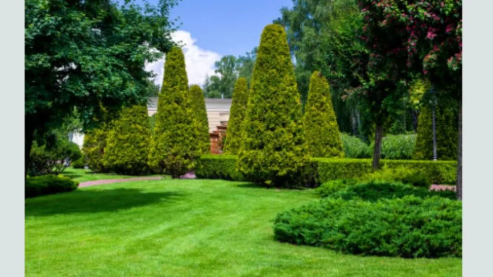 Local landscape design in Broadalbin, NY - Steve Austin-subcontracting and mowing
