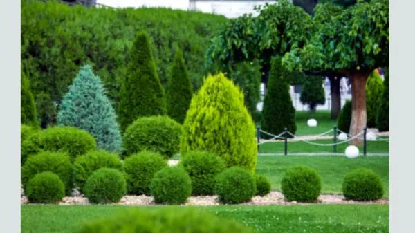 Steve Austin-subcontracting and mowing