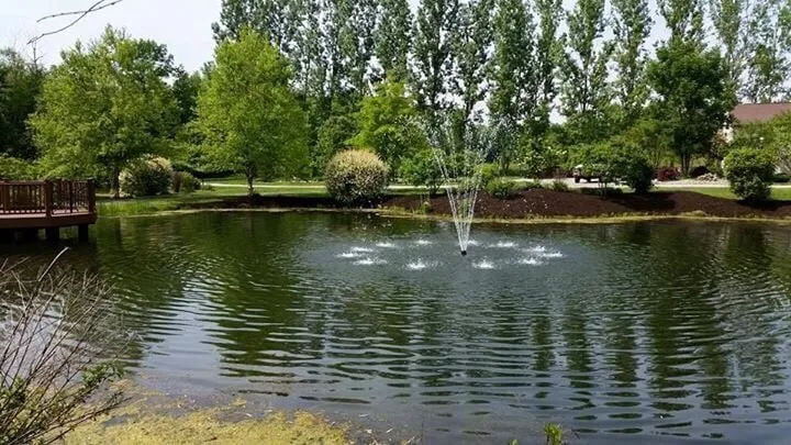 Affordable landscaping services in McKean, PA by Steve Danylko Landservice