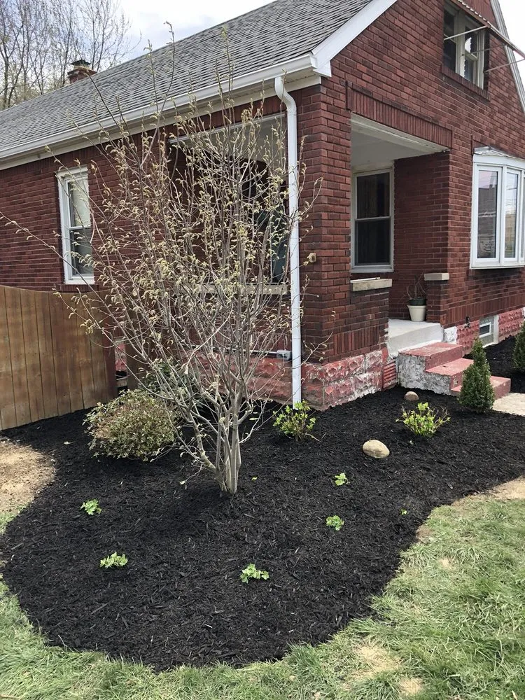 Trusted yard cleanup service in McKean, PA - Steve Danylko Landservice
