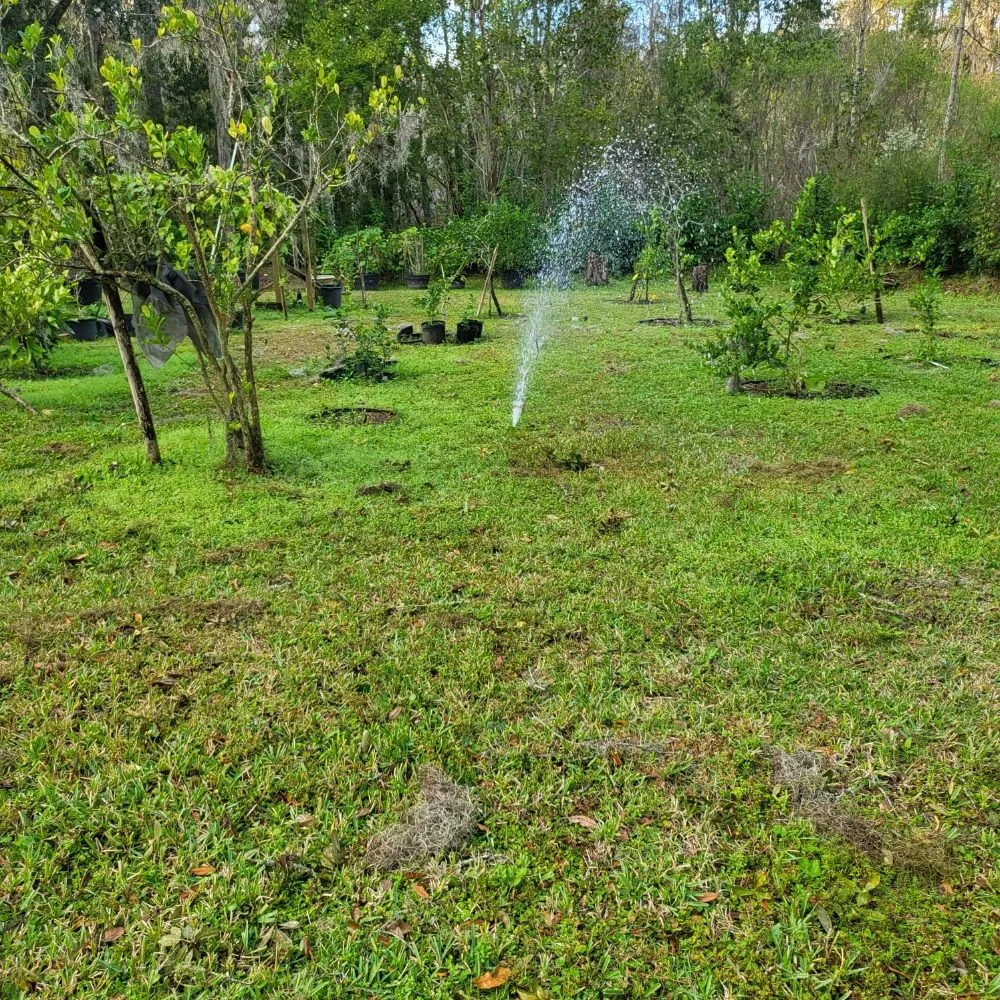 Expert landscape installation for residential properties across Ocala, FL - Steve FitzPatrick