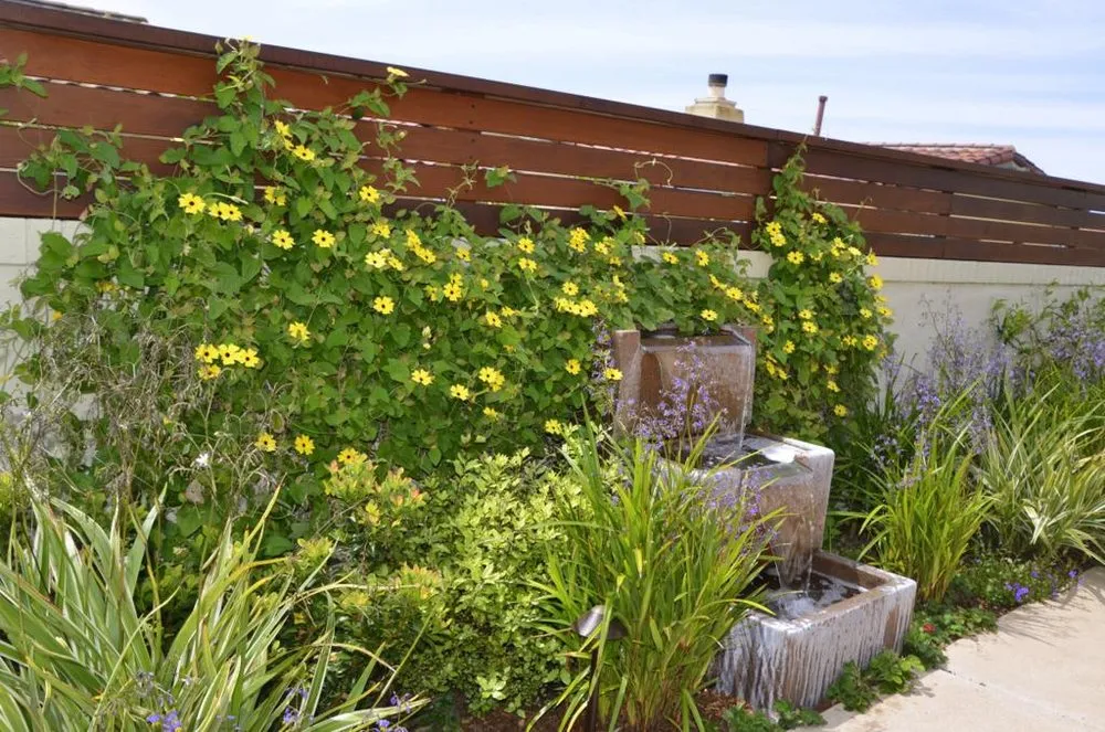 Top-rated landscape design experts serving San Diego, CA - Steve Harbour Landscapes