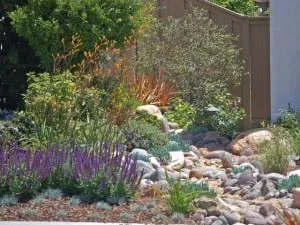 Local residential landscaping in San Diego, CA - Steve Harbour Landscapes