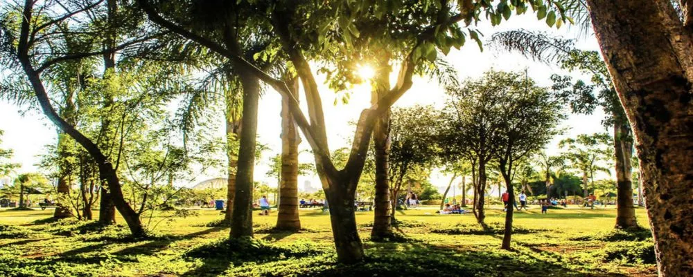 Top-rated landscape installation for homes across Brandon, MS - Steve Jones Designs