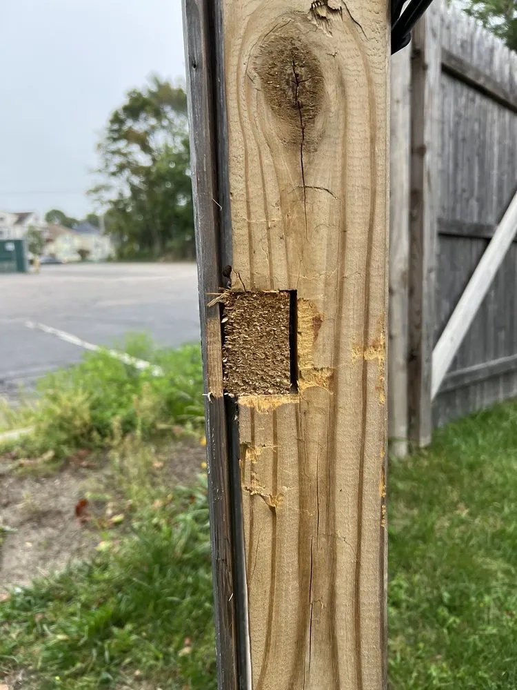 Reliable yard maintenance in Braintree, MA by Steve Mcdonough Landscaping