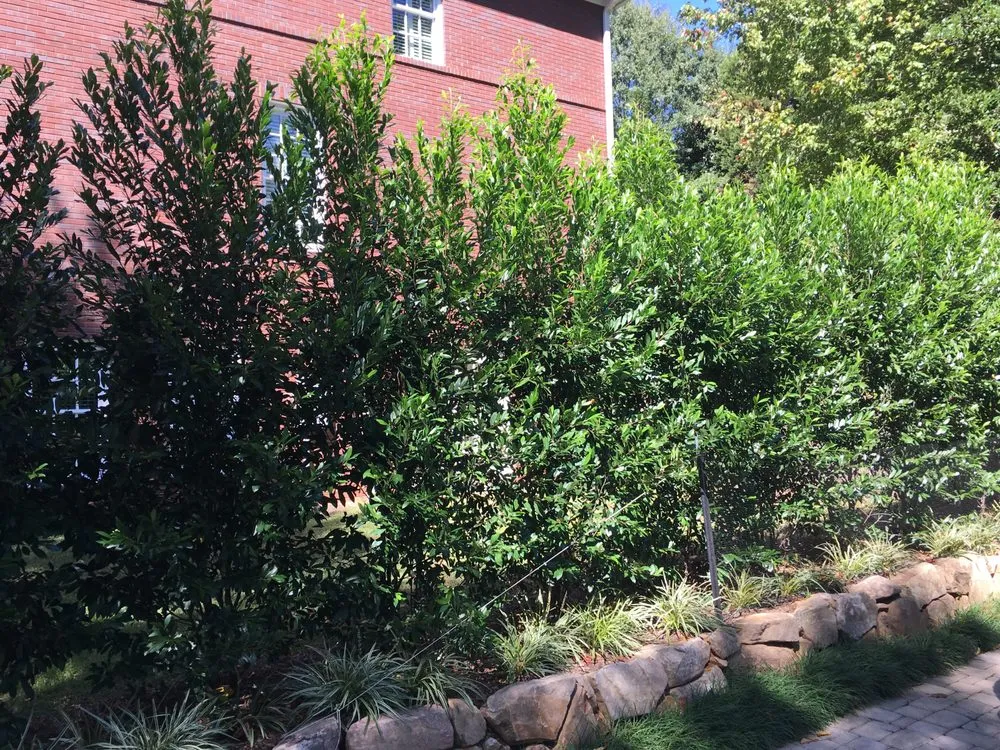 Top-rated landscape installation experts serving Clarkston, GA - Steve Miller Gardens