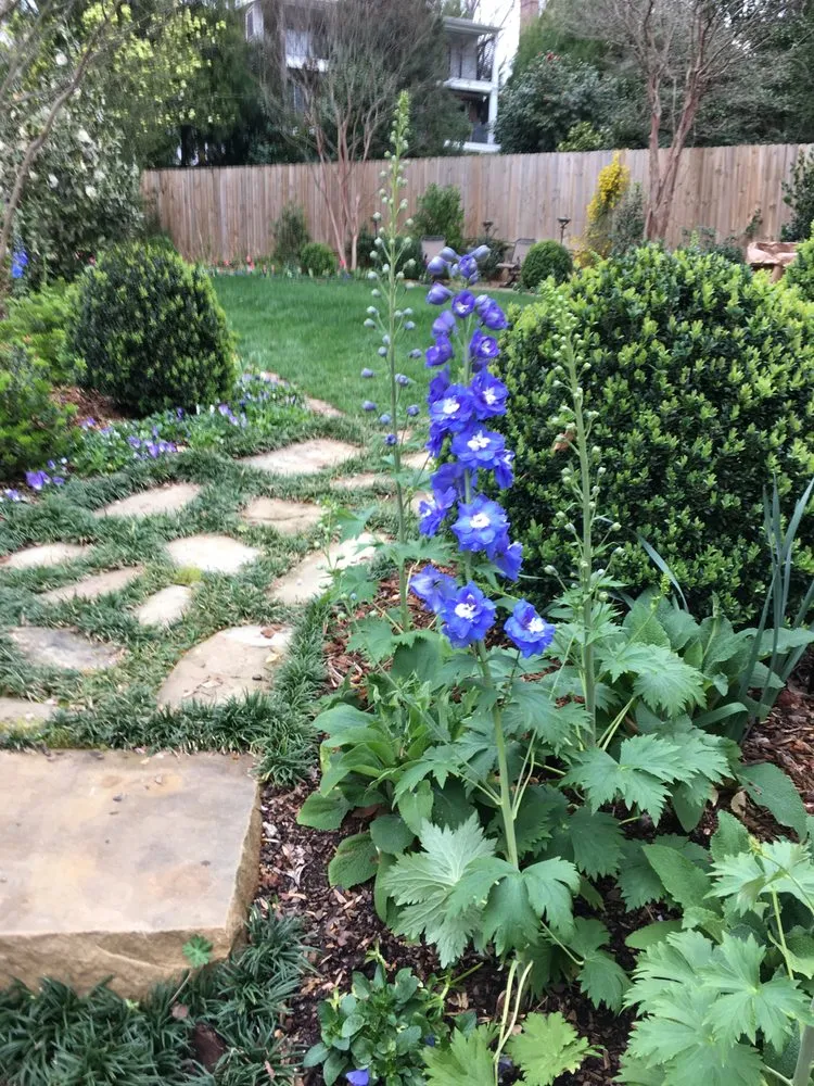 Affordable landscaping services for beautiful yards in Clarkston, GA by Steve Miller Gardens