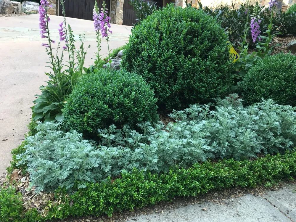 Expert lawn care service in Clarkston, GA by Steve Miller Gardens