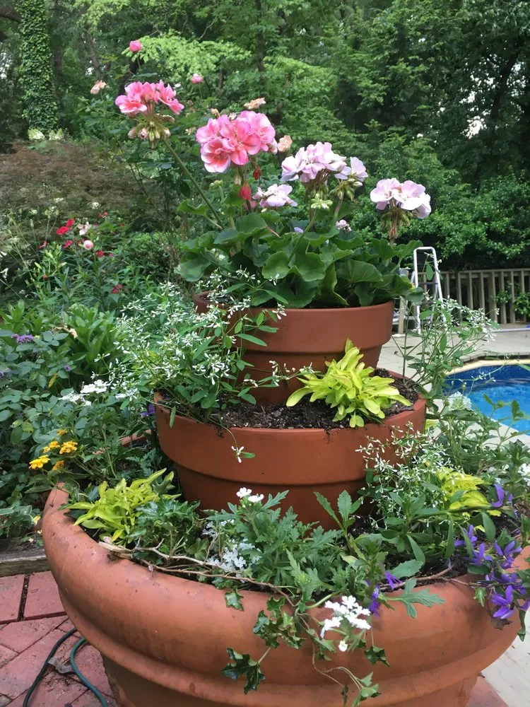 Trusted yard cleanup service in Clarkston, GA - Steve Miller Gardens