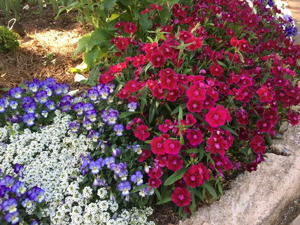 Top-rated outdoor landscaping with custom design across Clarkston, GA - Steve Miller Gardens