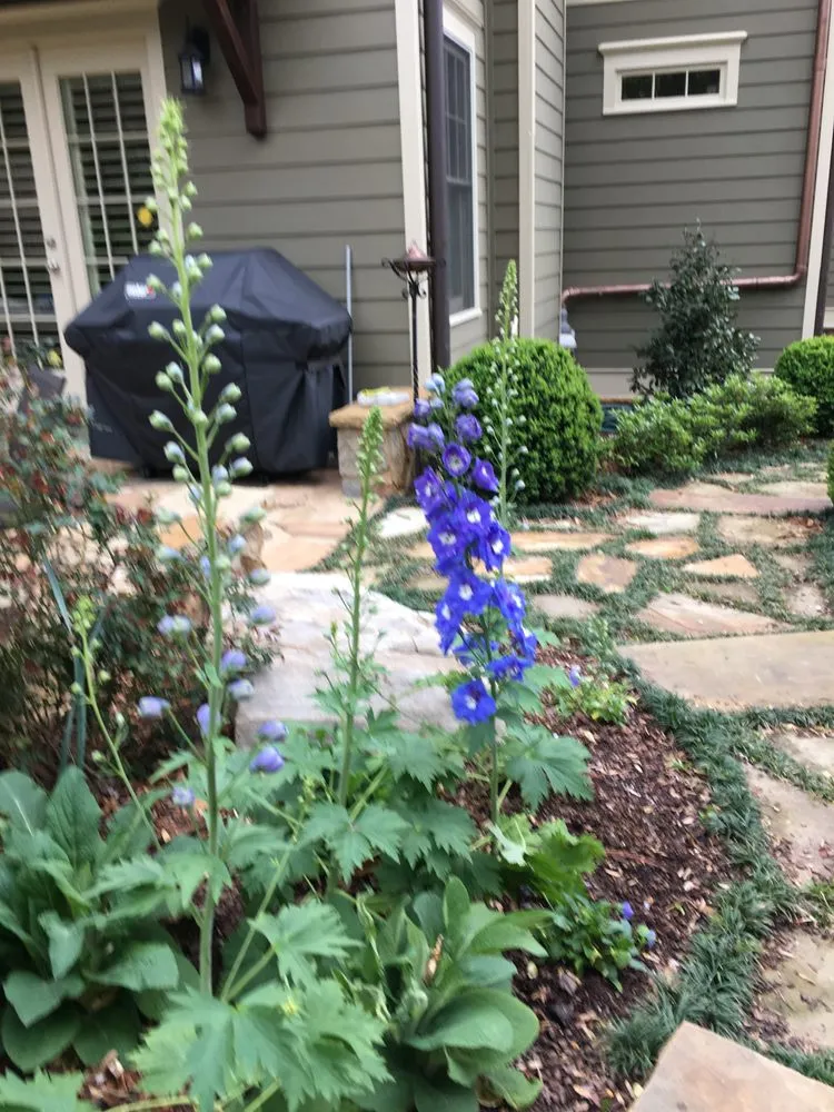 Trusted landscape installation experts serving Clarkston, GA - Steve Miller Gardens