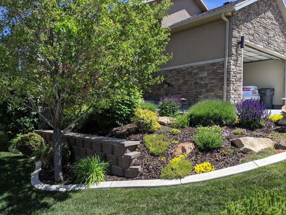 Affordable lawn care service in South Jordan, UT by Steve-N-Son Landscaping