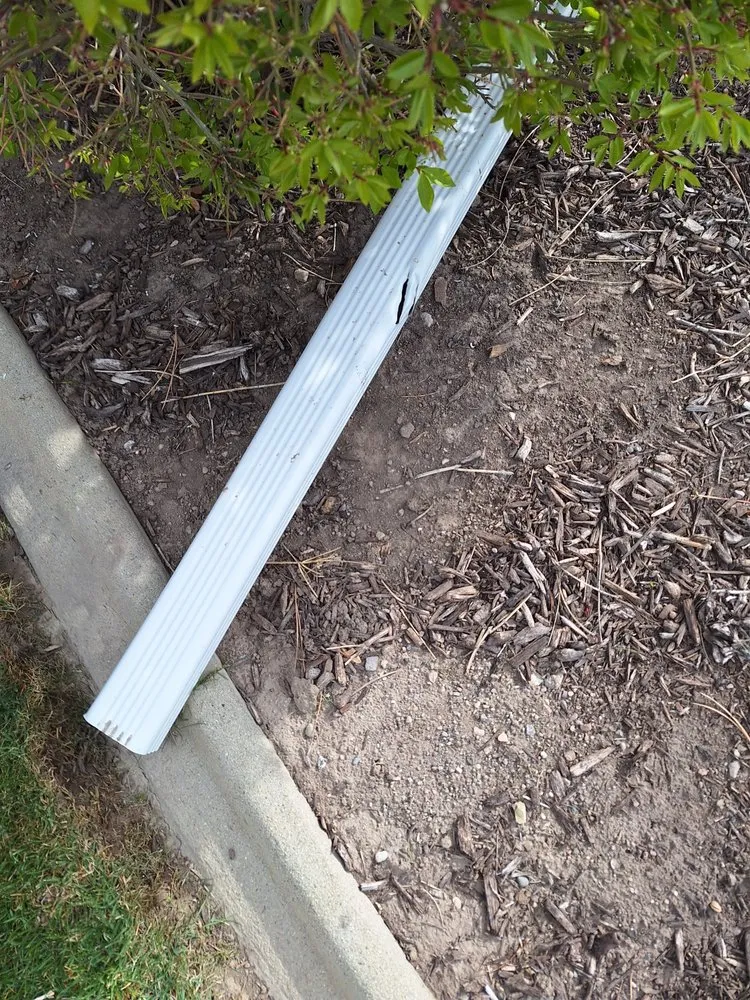 Local yard cleanup service experts serving South Jordan, UT - Steve-N-Son Landscaping