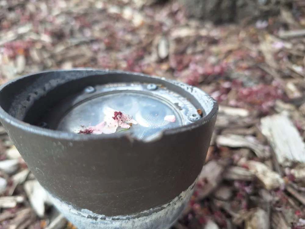 Trusted yard maintenance in South Jordan, UT - Steve-N-Son Landscaping