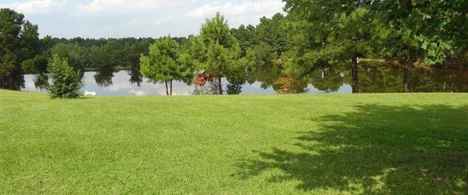 Local landscape design in Lillington, NC by Steve the Irrigation Guy