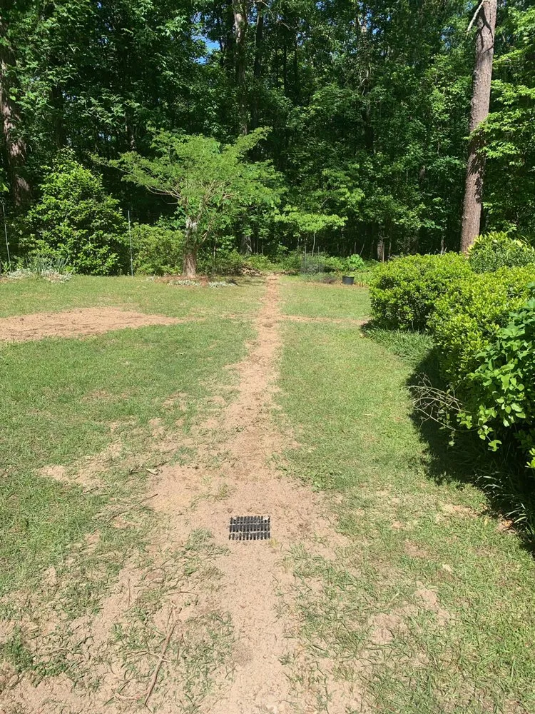 Expert residential landscaping for year-round maintenance across Lillington, NC - Steve the Irrigation Guy