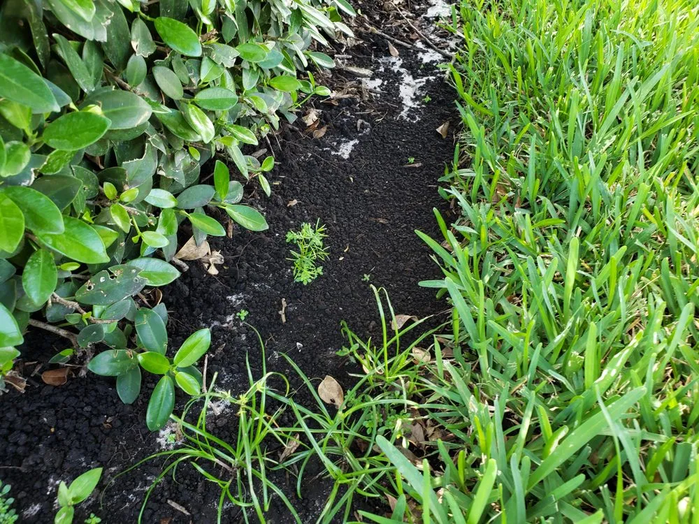 Expert lawn care service experts serving Lake Worth, FL - Steveco Landscaping