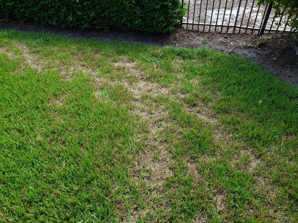 Top-rated outdoor landscaping in Lake Worth, FL by Steveco Landscaping