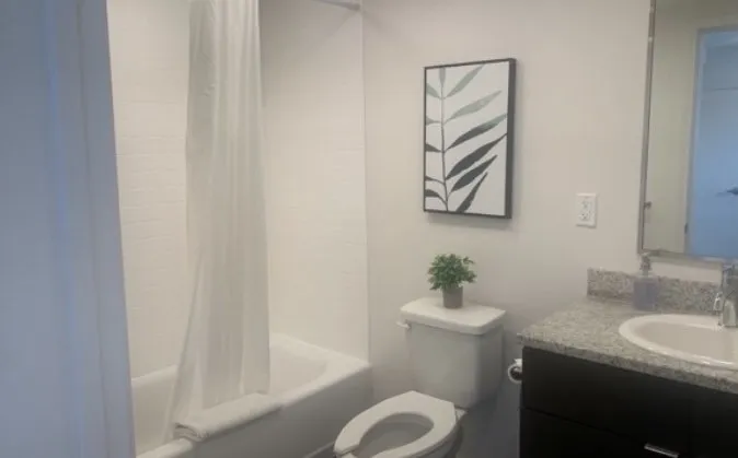 Top-rated yard cleanup service in Murfreesboro, TN - Steven and Chrystal's Services