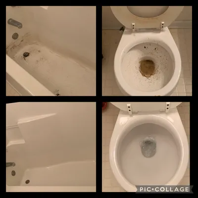 Steven and Chrystal's Services Logo