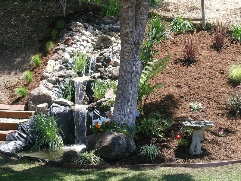 Local landscaping services experts serving San Rafael, CA - Steven and Son Landscaping and Hauling