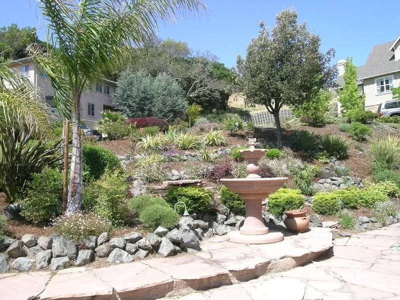 Affordable landscape installation experts serving San Rafael, CA - Steven and Son Landscaping and Hauling