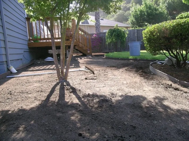 Professional residential landscaping for year-round maintenance across San Rafael, CA - Steven and Son Landscaping and Hauling