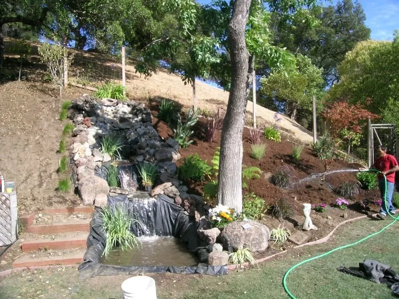 Trusted landscape design experts serving San Rafael, CA - Steven and Son Landscaping and Hauling
