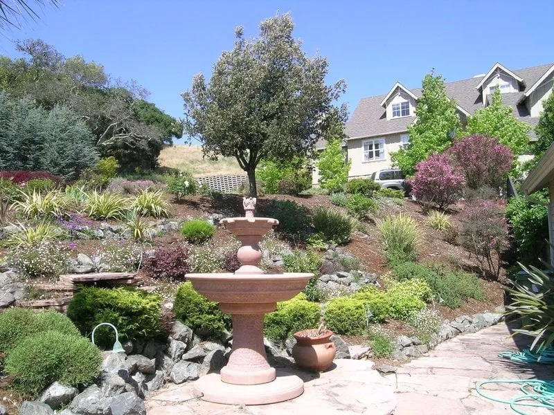 Top-rated lawn care service for residential properties in San Rafael, CA by Steven and Son Landscaping and Hauling