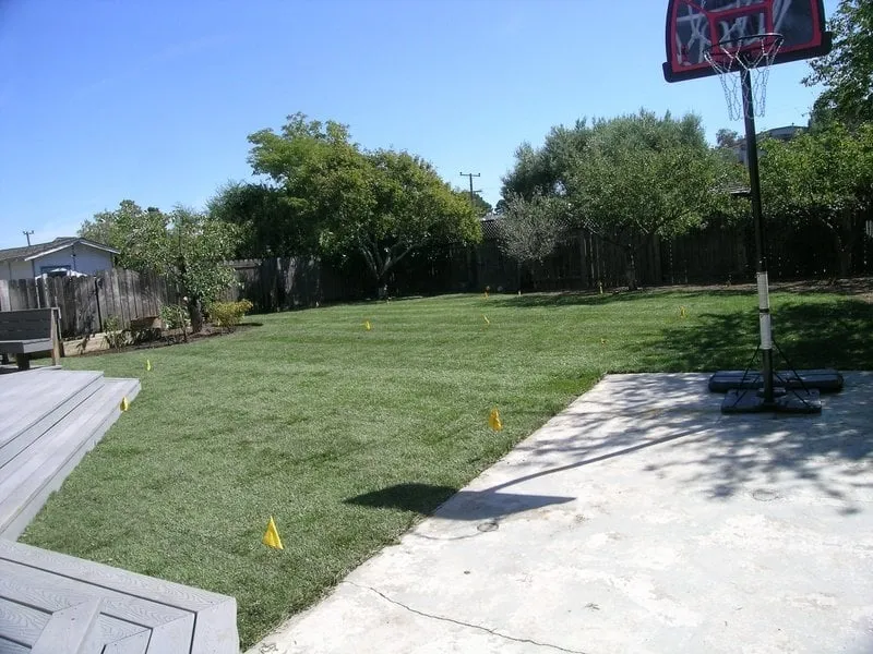 Custom yard cleanup service in San Rafael, CA by Steven and Son Landscaping and Hauling