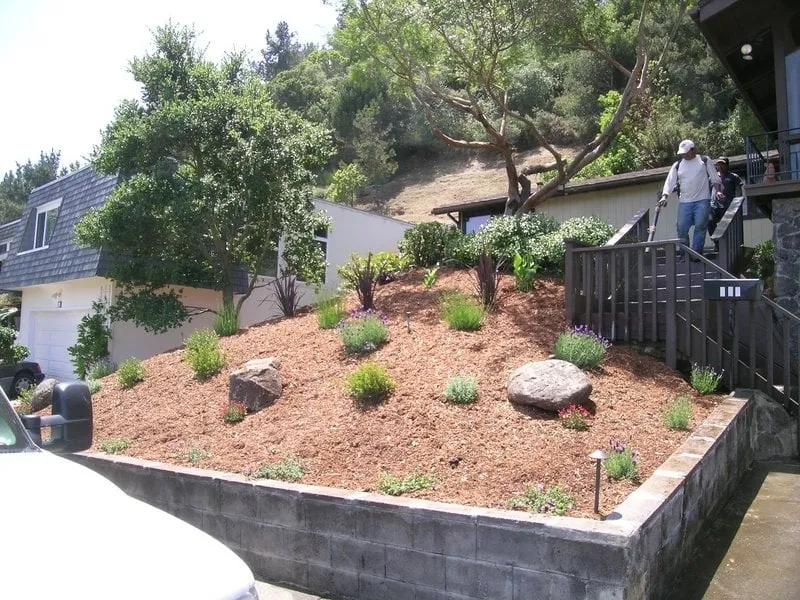 Professional landscape design for beautiful yards across San Rafael, CA - Steven and Son Landscaping and Hauling