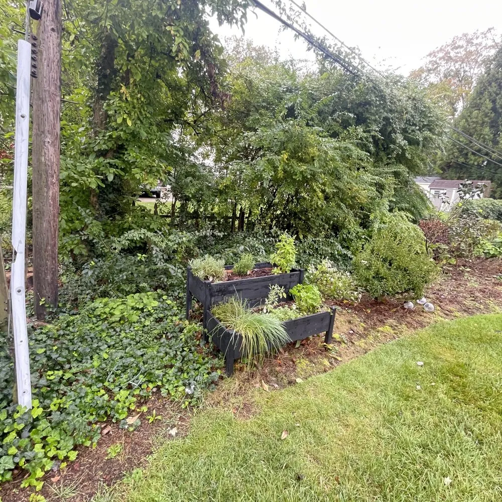 Reliable landscape installation in Drexel Hill, PA - Steven full landscaping, stucco,concrete,tree care,drywall,paint