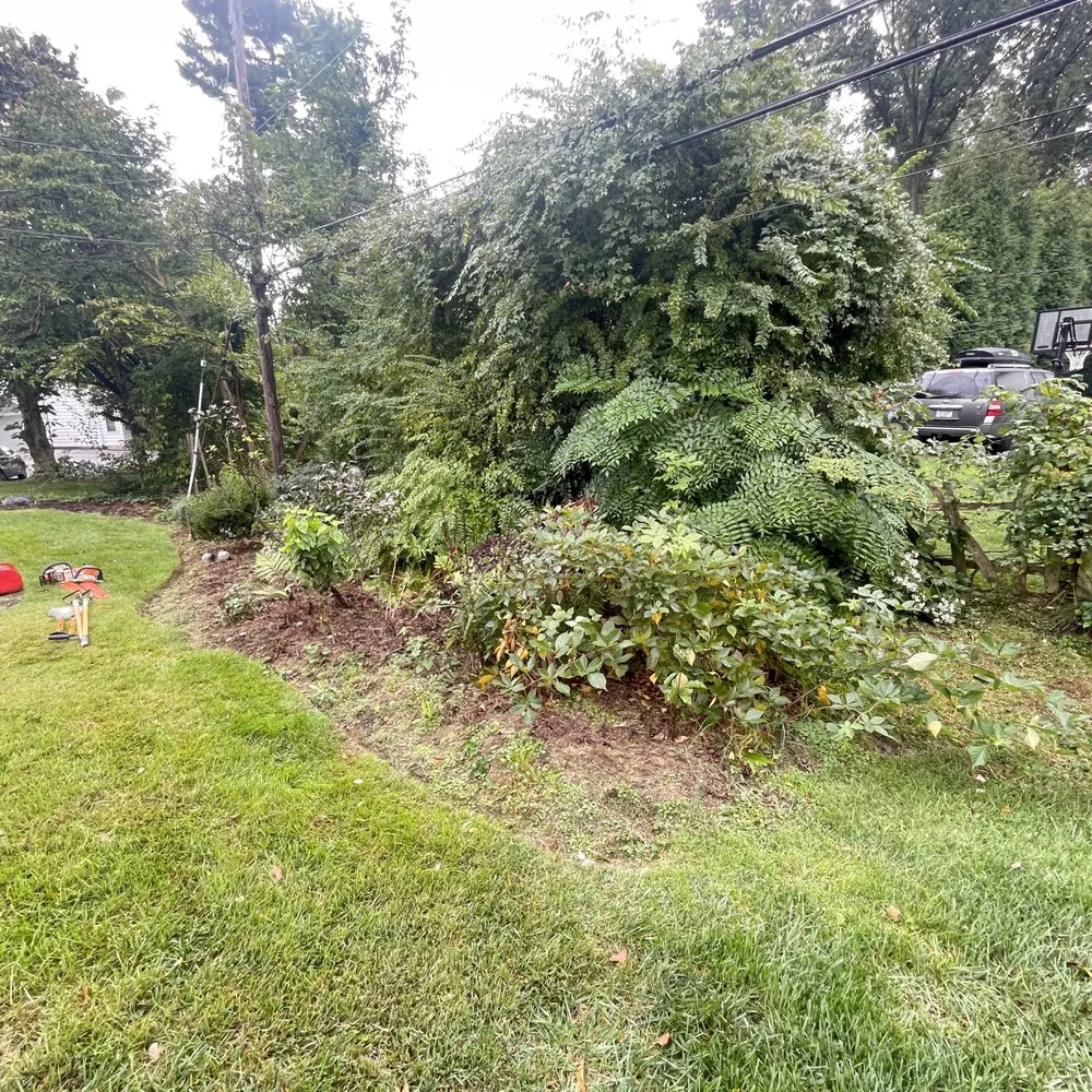 Local landscape design in Drexel Hill, PA - Steven full landscaping, stucco,concrete,tree care,drywall,paint