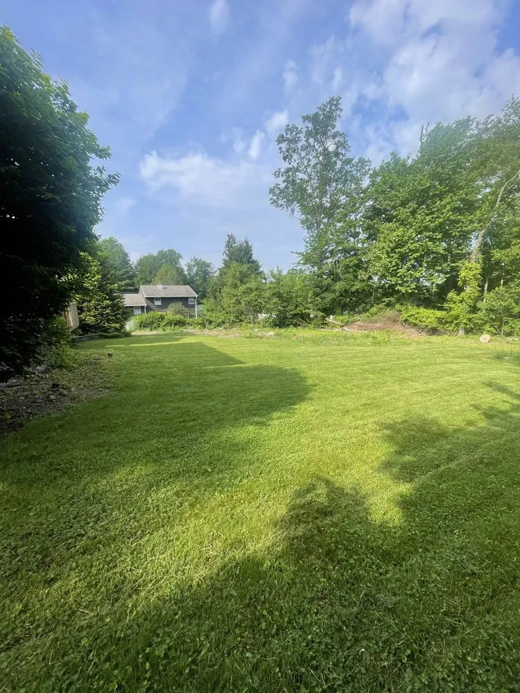 Expert garden landscaping for year-round maintenance across Mineola, NY - Steven Gonzales