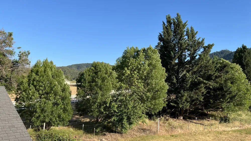 Expert lawn mowing service experts serving Central Point, OR - Steven Green