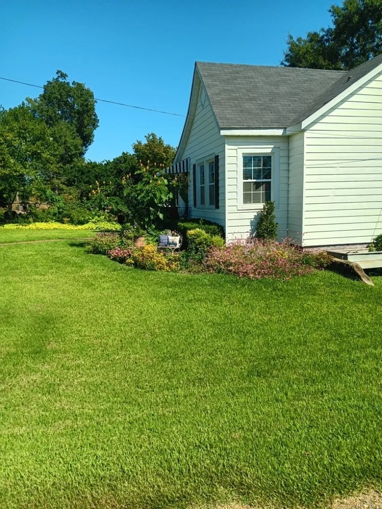 Trusted lawn mowing service in Homer, LA - Steven Land Lawn and Pressure Washing Services