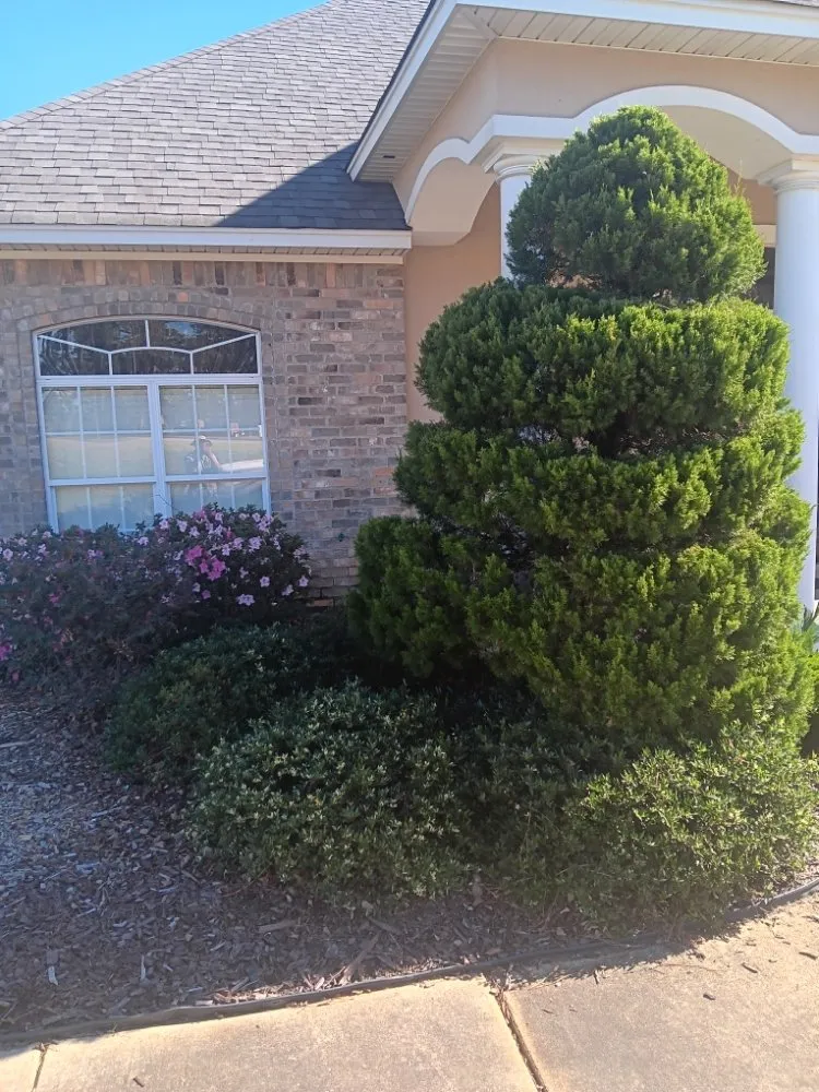 Custom lawn care service experts serving Homer, LA - Steven Land Lawn and Pressure Washing Services