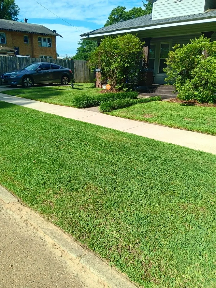 Expert lawn mowing service in Homer, LA - Steven Land Lawn and Pressure Washing Services