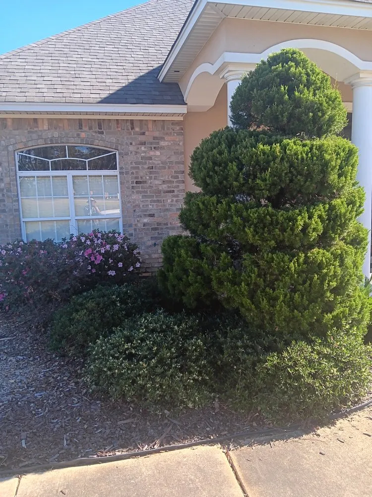 Affordable yard cleanup service experts serving Homer, LA - Steven Land Lawn and Pressure Washing Services