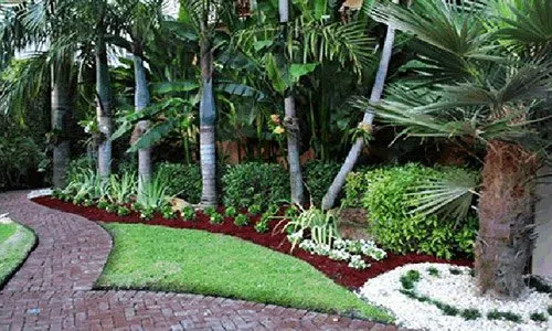 Expert yard maintenance for homes in Fort Lauderdale, FL by Steven Landscaping