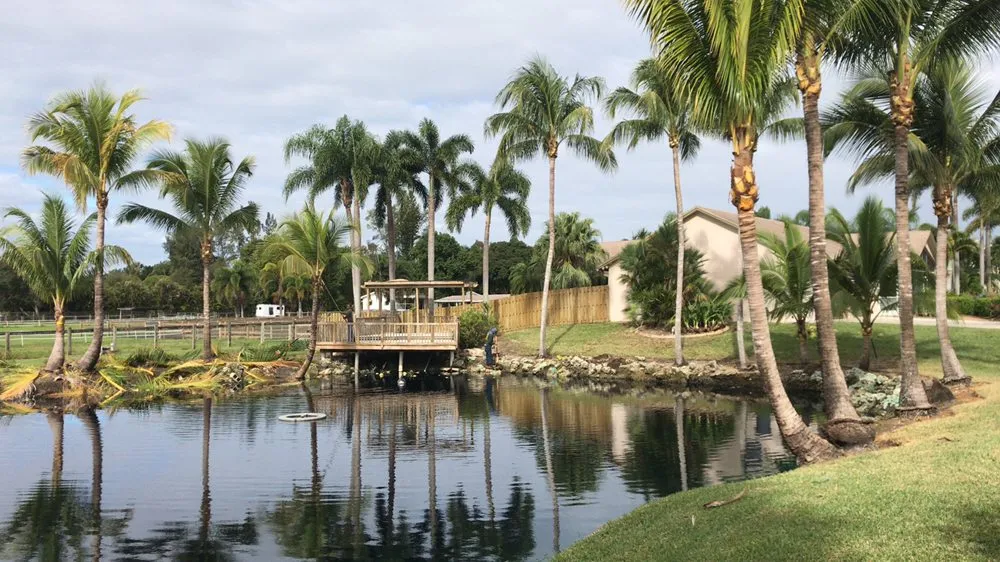 Custom yard cleanup service for beautiful yards across Fort Lauderdale, FL - Steven Landscaping