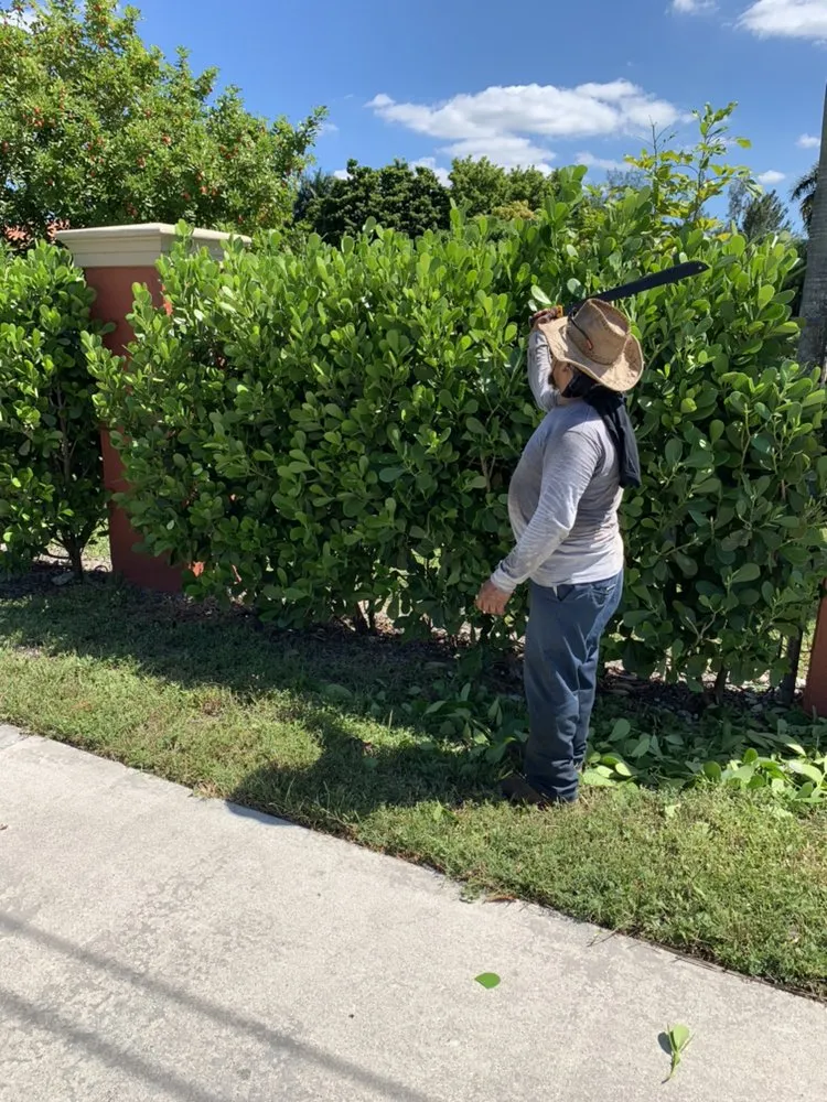 Trusted landscape installation for beautiful yards across Fort Lauderdale, FL - Steven Landscaping