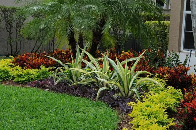 Custom yard maintenance in Fort Lauderdale, FL - Steven Landscaping