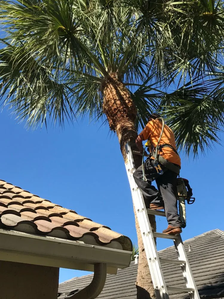 Reliable outdoor landscaping experts serving Fort Lauderdale, FL - Steven Landscaping