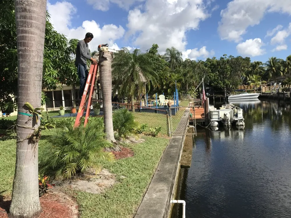 Top-rated lawn mowing service in Fort Lauderdale, FL - Steven Landscaping