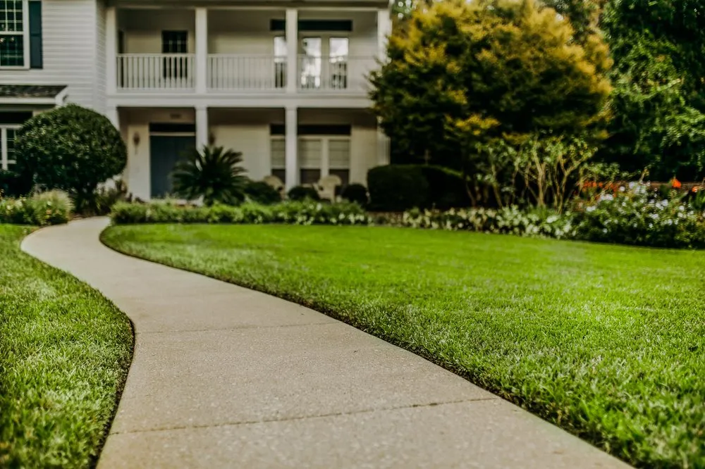 Affordable lawn care service for residential properties across Minneapolis, MN - Steven Lawn care