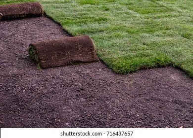 Reliable yard cleanup service for year-round maintenance across Minneapolis, MN - Steven Lawn care